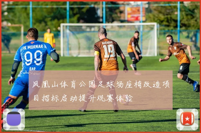 凤凰山体育公园足球场座椅改造项目招标启动提升观赛体验
